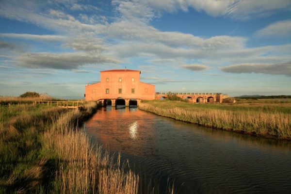 Progetto RICREA: ultimo laboratorio partecipativo sul futuro della Diaccia Botrona