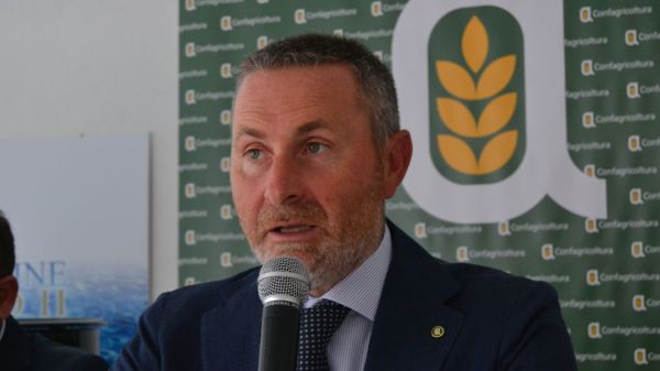 Declassamento lupo, Confagricoltura Grosseto: “finalmente un cambio di passo”