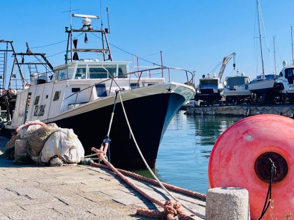 Fermo pesca, Fedagripesca Toscana: "Bene il confronto con la Regione, ora servono fondi per sostenere il settore"