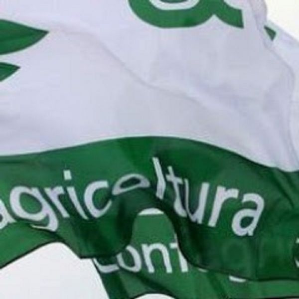 Agricoltura, confronto sulle conseguenze della Pac e dell'andamento dei mercati in Toscana