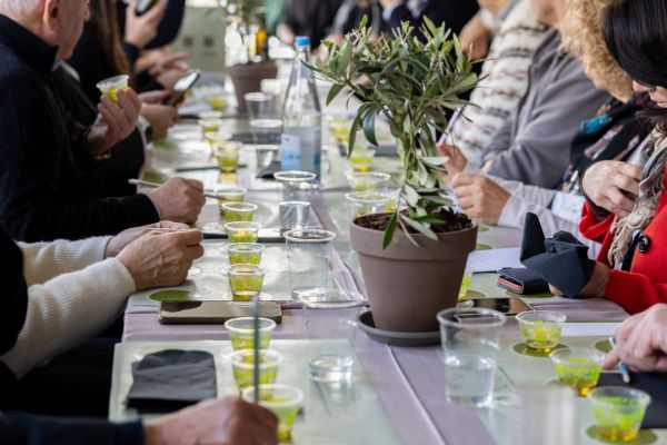 Evoluzione 2026: Roma capitale del futuro dell’olio extravergine di oliva di qualità