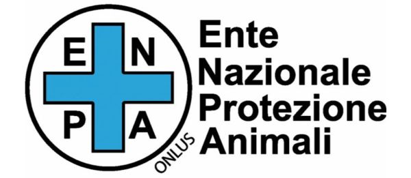 Maltrattamento di animali: condanna a quattro mesi di reclusione. Confiscati definitivamente Fortunato e Margherita, oggi adottati e finalmente liberi