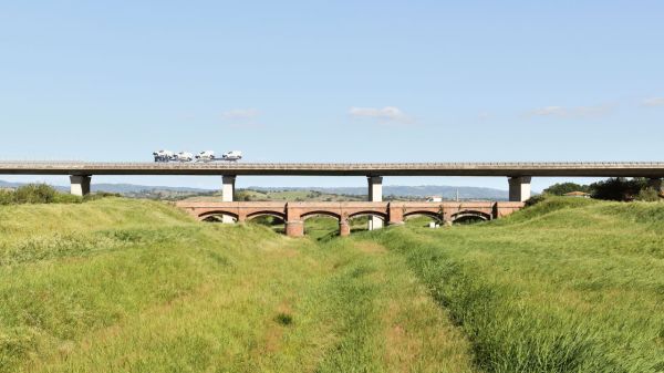 Una campagna radicale: la Maremma tra identità e immagine