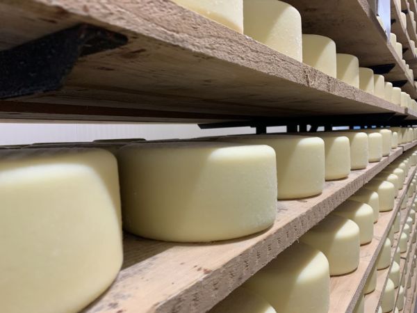 Dazi cinesi sui lattiero-caseari UE, Confagricoltura: “Rischio per produzione e mercato interno”