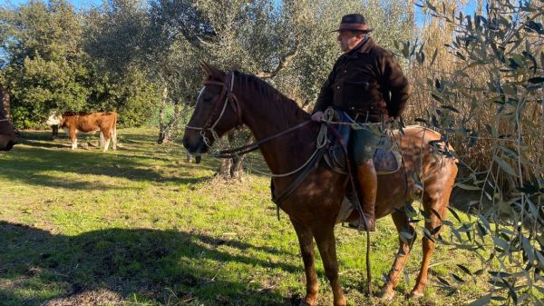 Futuro degli equidi in Italia: politici ed esperti contro la macellazione