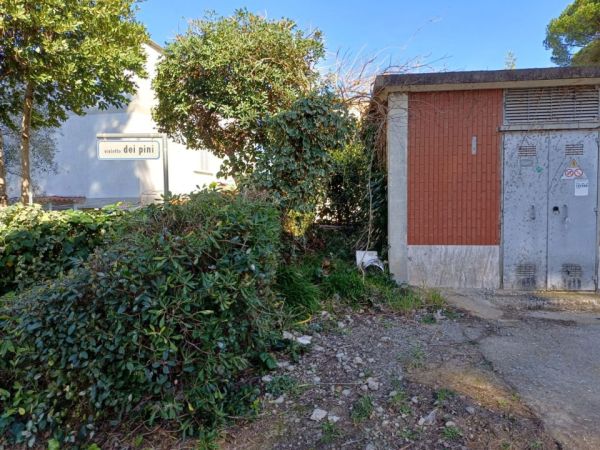 Portiglioni nel degrado: asfalto a pezzi e cumuli di verde abbandonati, Scarlino nel Cuore chiede intervento immediato