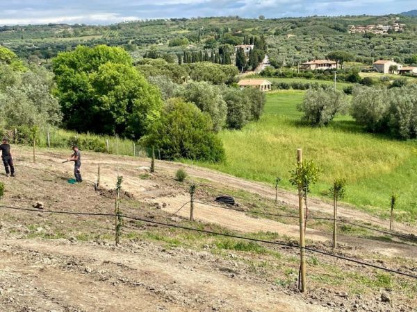 Diabete: due incontri gratuiti a Magliano in Toscana per una gestione consapevole
