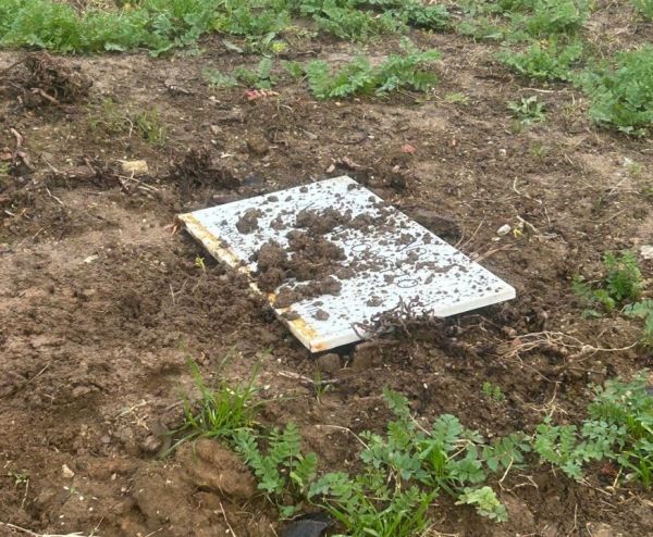 Foibe, Parlamentari FDI Toscana: "Cossetto simbolo nazionale. Dura condanna sia unanime"