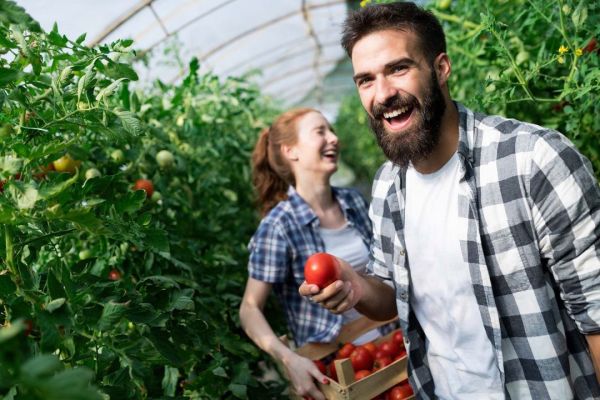 Agricoltura: bando per i "Gruppi operativi", attori di innovazione e trasformazione digitale