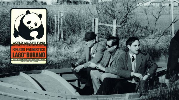 Sessant’anni di WWF: la natura riparte dalla Maremma tra sfide occupazionali e nodi sanitari