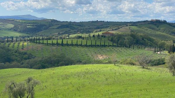 Scopri Sasso d'Ombrone e Poggi del Sasso con il FAI: una giornata di cultura e territorio