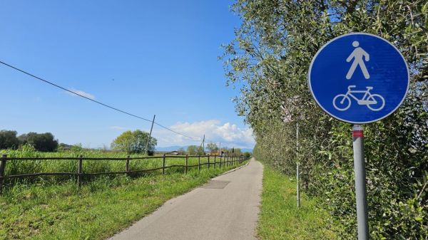 Mobilità sostenibile: al via il progetto per unire Principina Terra alla ciclabile Grosseto–Marina