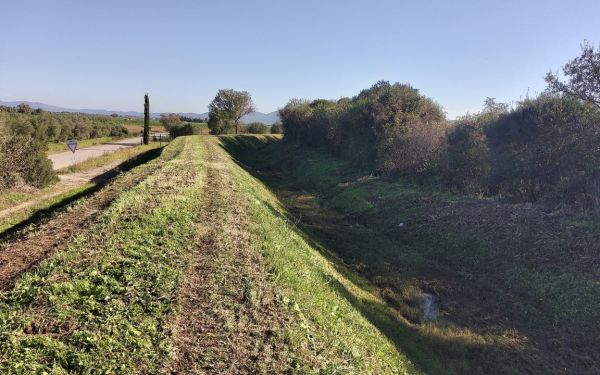 Sicurezza idraulica, il Consorzio Bonifica sempre a lavoro