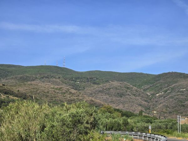 Ambiente e Giovani: Educazione Civica e Sociale per la Tutela Ambientale