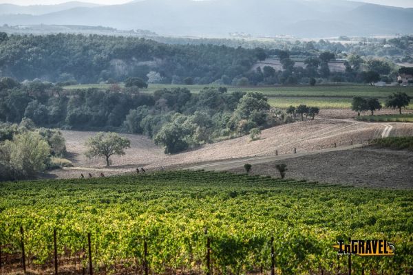 Morellino & Ciclismo: un connubio che si conferma vincente