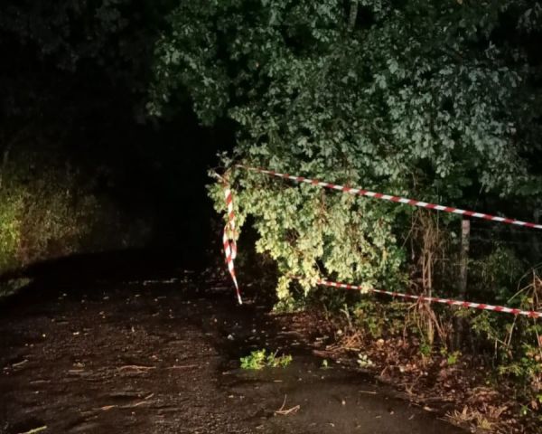 Maltempo, a Manciano danni per tetti divelti e alberi caduti