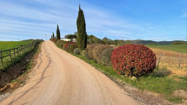Piogge, difficoltà per grano e altre colture. Marras: “Già attivati con Ministero e Artea”