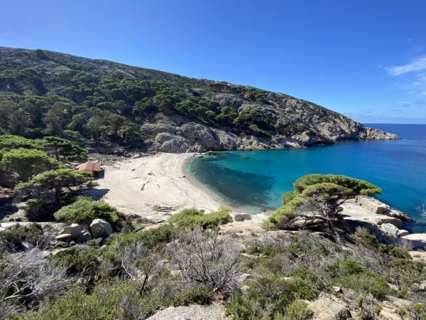 Visite guidate nell’Isola di Montecristo: prenotazioni online aperte dal 27 gennaio