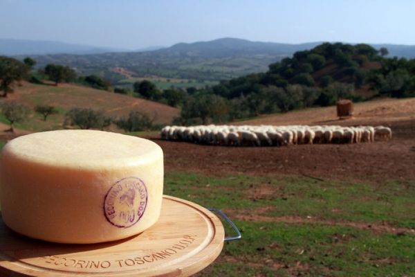 Regione. Il Pecorino Toscano DOP arriva in Vietnam