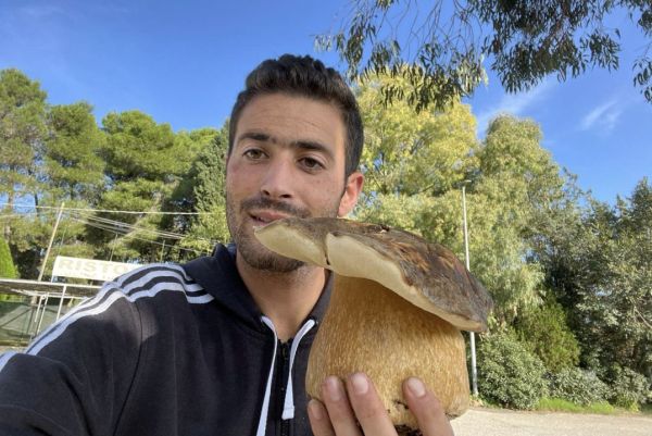 Un “boletus aereus” da primato trovato nei boschi di Manciano