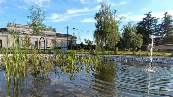 Torna il Premio “La Città per il Verde”: annunciati i premiati della 26ª edizione, c'è anche Grosseto