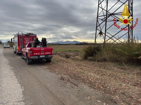 Grosseto: giovane lupo soccorso dai pomieri. Era al bordo di una strada alle porte della città