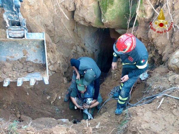 Semproniano: Storia a lieto fine. I pompieri recuperano cane finito dentro un crepaccio