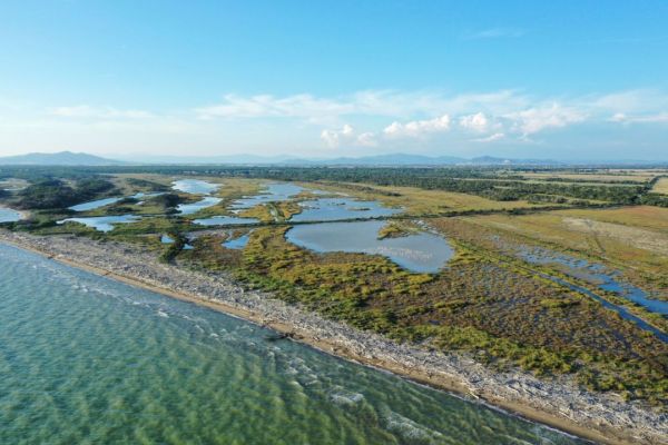 “Trappola con gli stivali”, una passeggiata per conoscere e celebrare le zone umide