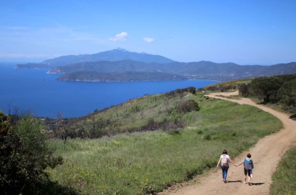 Scopri Gorgona, l'isola carcere a cielo aperto: natura, storia e reinserimento