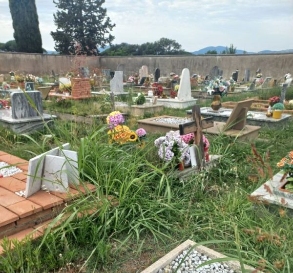Cimitero di Sticciano scalo, erbacce da tutte le parti. La segnalazione di nostro lettore