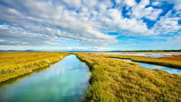 Esplora la Diaccia Botrona: escursioni gratuite d'autunno e inverno