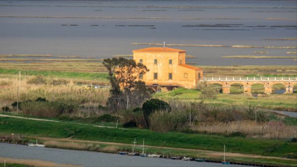 La Diaccia Botrona ospita “Terre e acque di confine: la sfida delle zone umide”