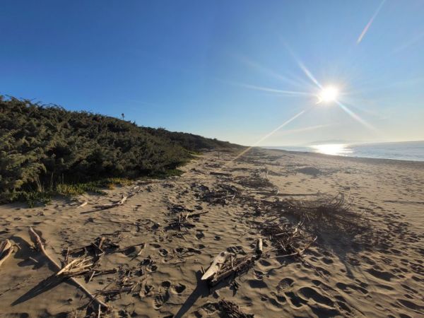 Concorso fotografico "Ecosistema Duna": contest per valorizzare il patrimonio naturale della Maremma