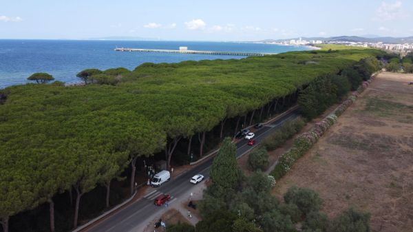 Per il ciclo "Cinema d'Autore-Giovedì all'Astra": SORRY, BABY - Regia di Eva Victor, 5 febbraio alle ore 19.00