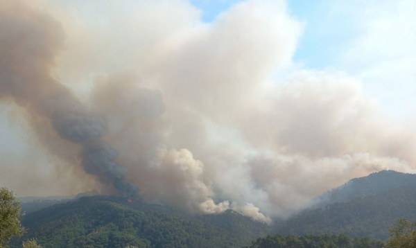 Incendi: Versilia, Vecchiano e Certaldo in contenimento