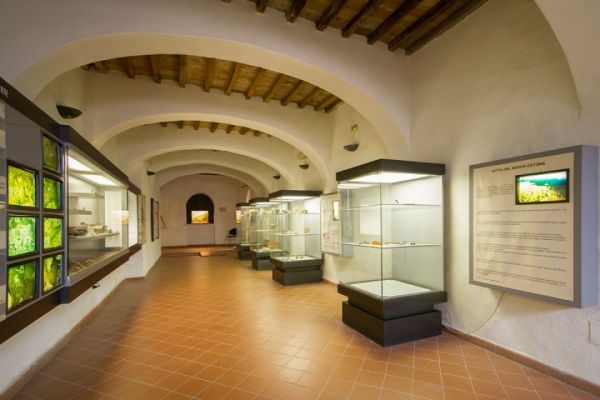 Giovani, musei e lavoro: 47 opportunità concrete per laureati under 30 in Toscana