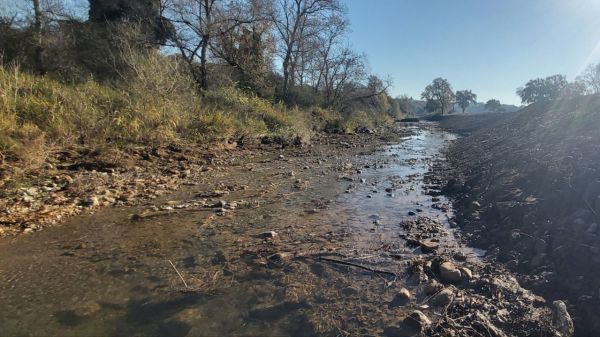 Manutenzione ordinaria sul Torrente Patrignone nell’unità idrografica Albegna a Magliano in Toscana