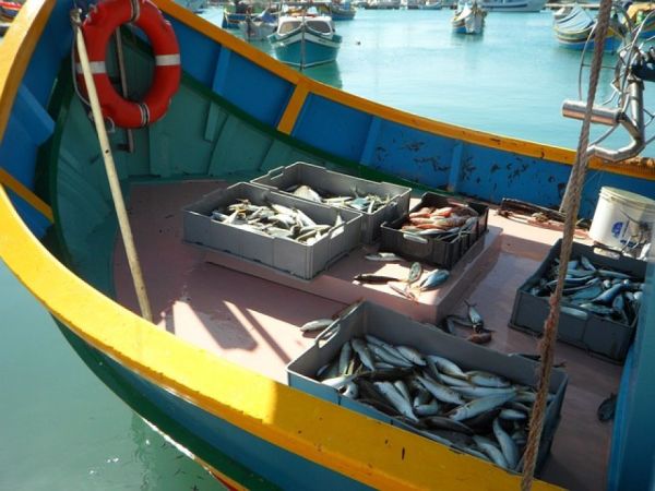 Pesca e acquacoltura, in arrivo il bando per ammodernare le aree portuali