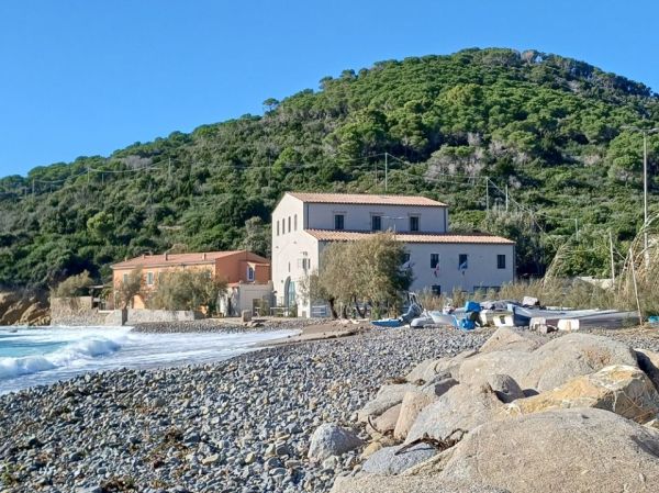 Firmato il Protocollo d'Intesa per il progetto 'Delfini Guardiani delle Isole d'Elba e Capraia' 2025/2026