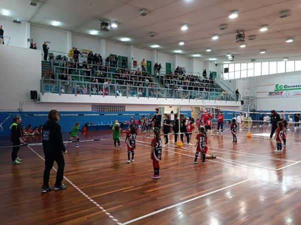 Volley: “Torneo Città di Grosseto”